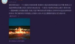 最新爆料任豪事件视频播放,真相与争议再引热议
