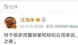 爆料娱乐圈的瓜,揭秘明星背后的惊人真相